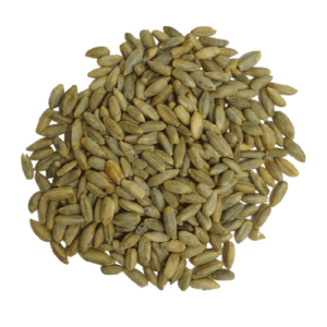 Buy Rye Grain Online