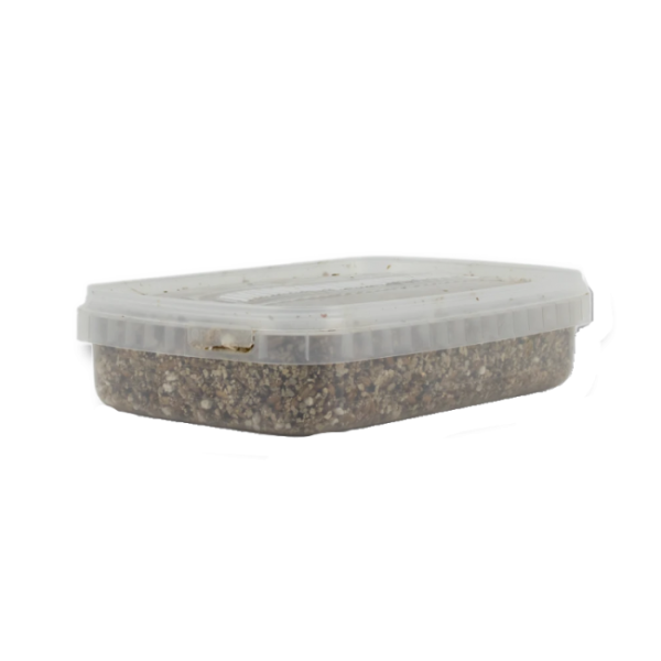 Buy Sterile Magic Mushroom substrate for Psilocybe Cubensis Medium