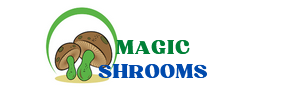 Magic Shroom Shop